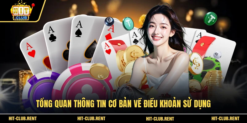 Tổng quan thông tin cơ bản về điều khoản sử dụng